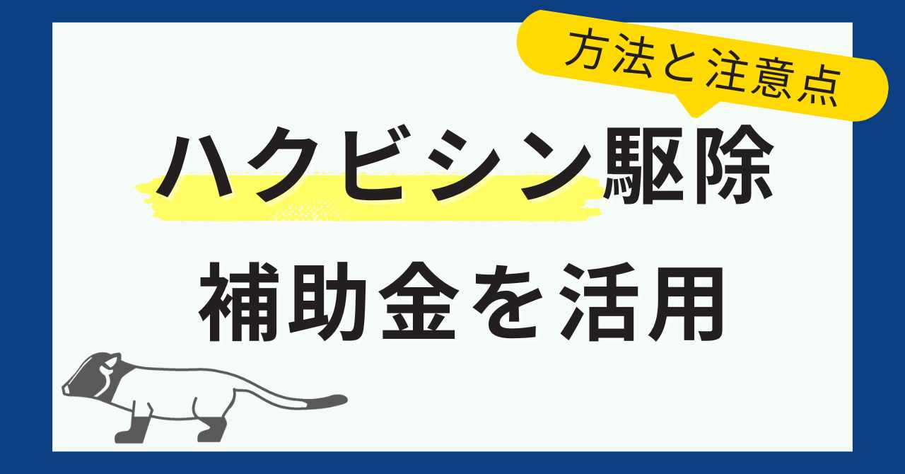 ハクビシンの駆除補助金を活用する流れ＆注意点