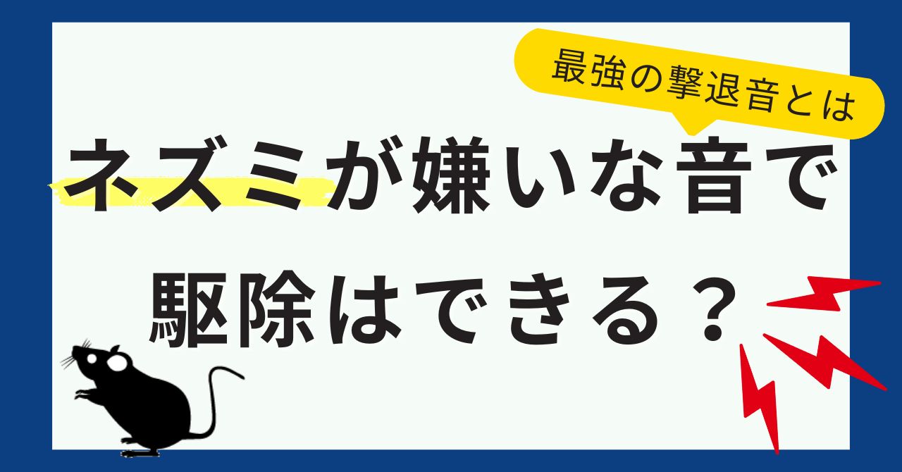ネズミが嫌いな音で駆除はできる？最強の撃退音とは