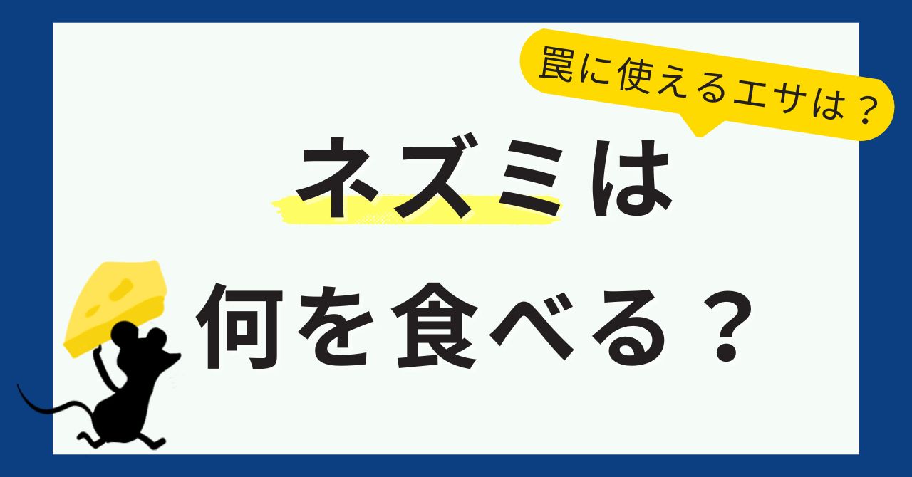 ネズミは何を食べる？罠に使えるエサと意外な好物