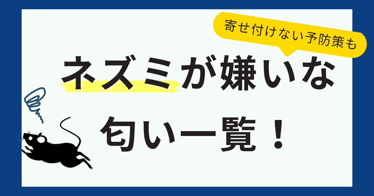 ネズミが嫌いな匂い一覧＆寄せ付けない予防策