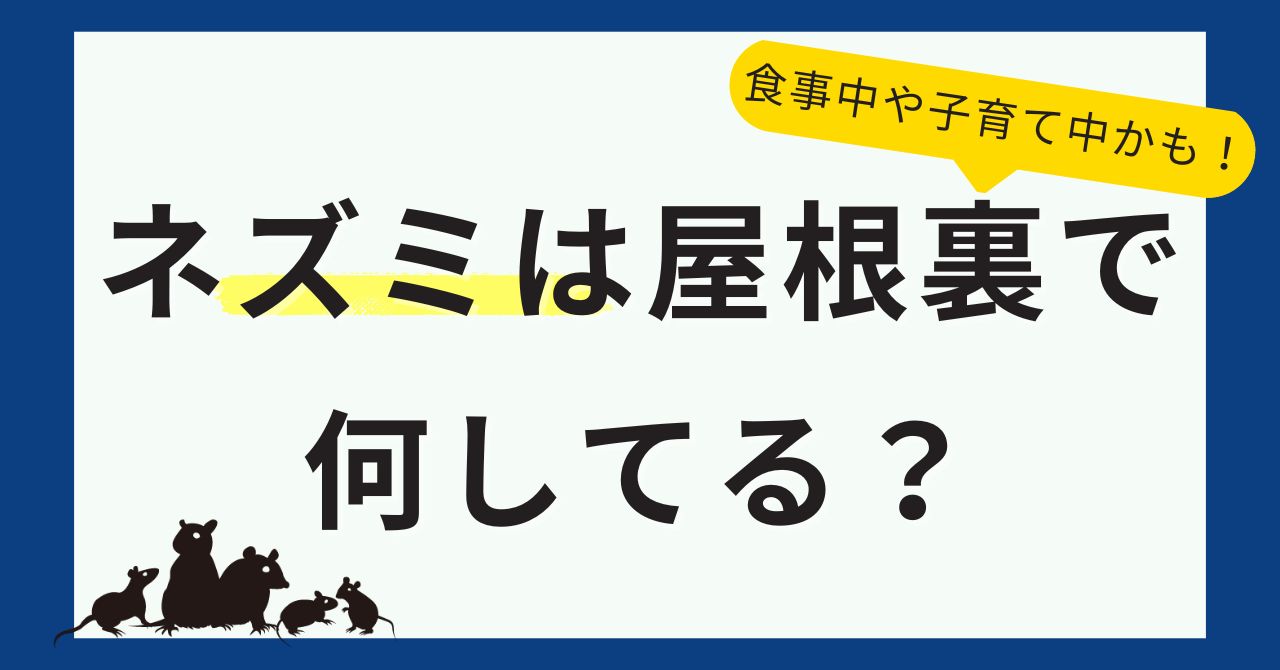 ネズミは屋根裏で何してる？食事中や子育て中かも！
