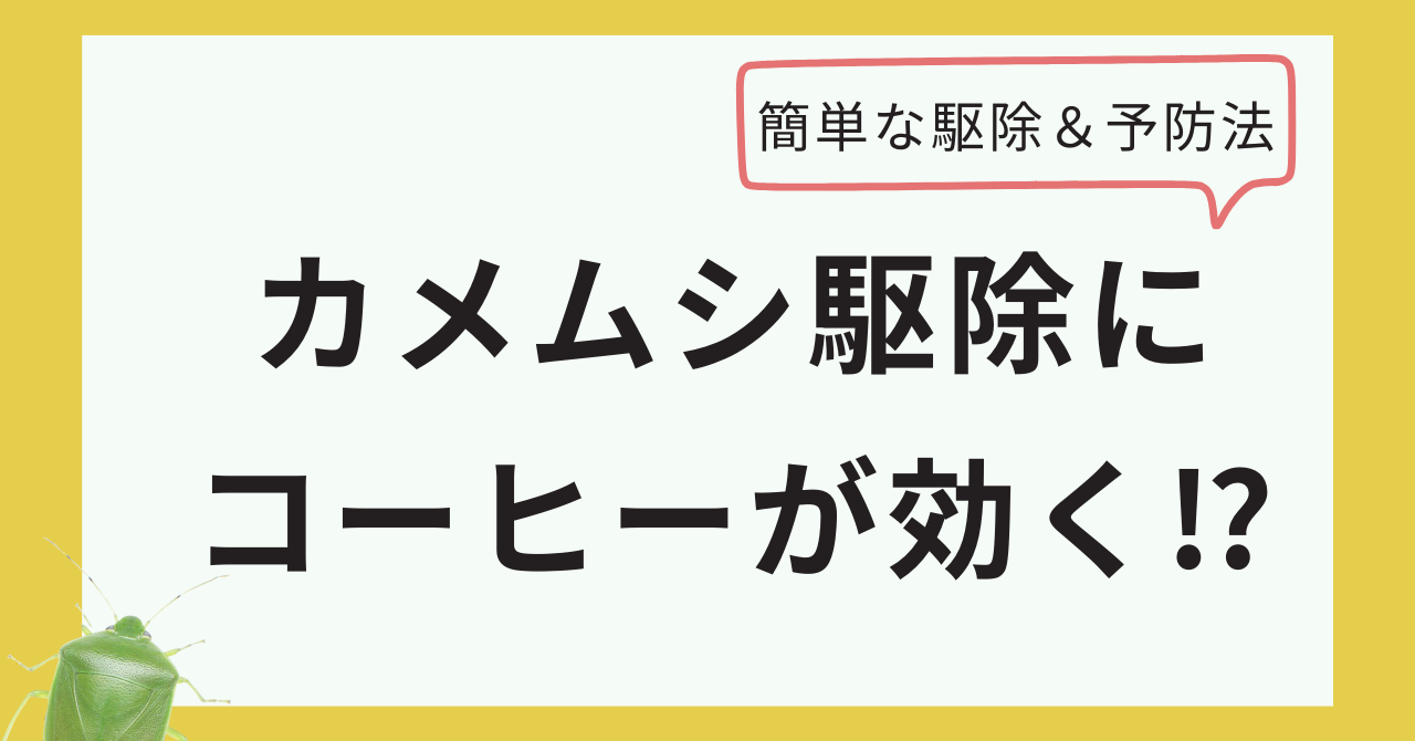 カメムシ駆除にコーヒーが効く？簡単ですぐできる予防法