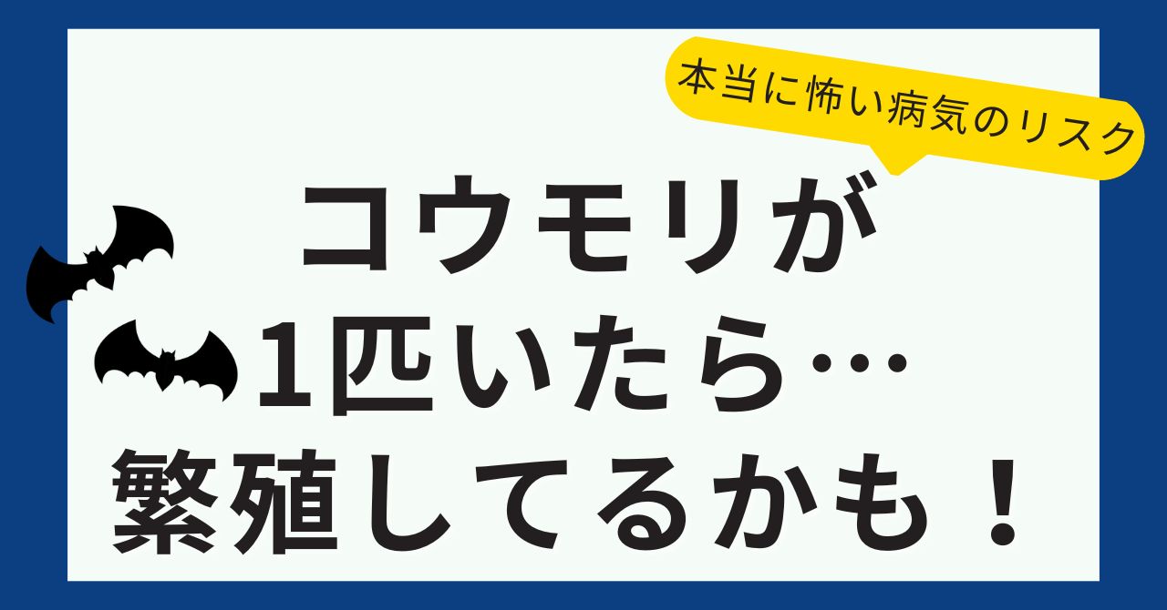 コウモリが1匹いたら繁殖してるかも。本当に怖い病気のリスク