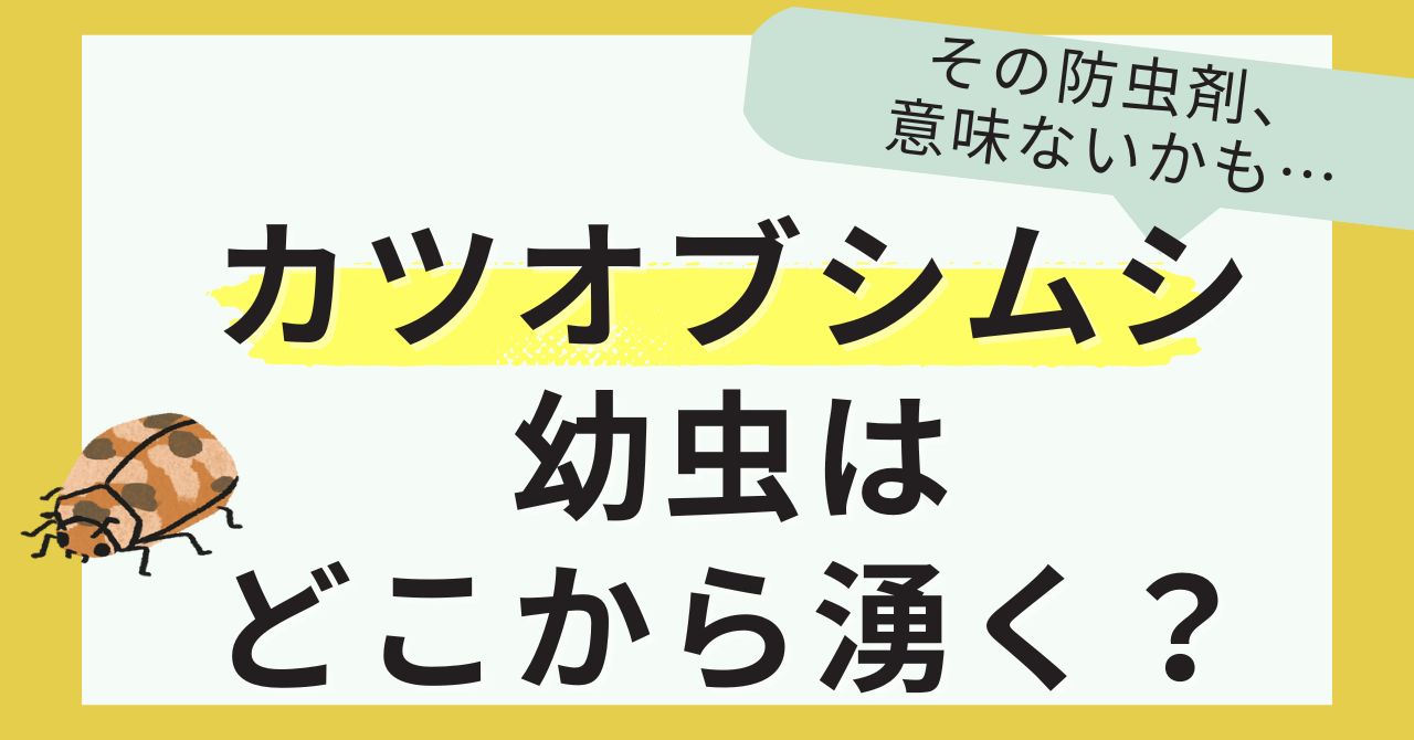 カツオブシムシの幼虫はどこからくる？それ意味なし！防虫剤のNG例も。