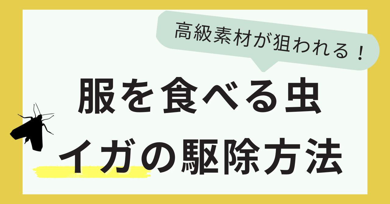 服を食べる虫、イガの駆除方法＆被害に遭いやすい高級素材とは