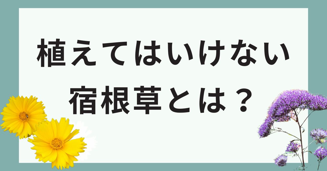 植えてはいけない宿根草とは？初心者が避けるべき理由