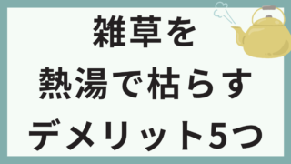 雑草を熱湯で枯らすデメリット5つ。解消方法も紹介