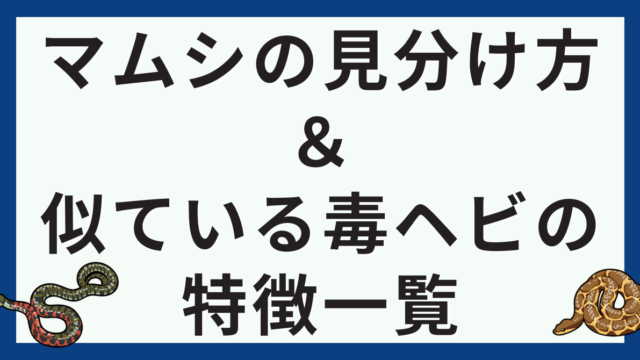 マムシの見分け方・画像で見る似ている毒蛇一覧|害獣と害虫の対策ガイド